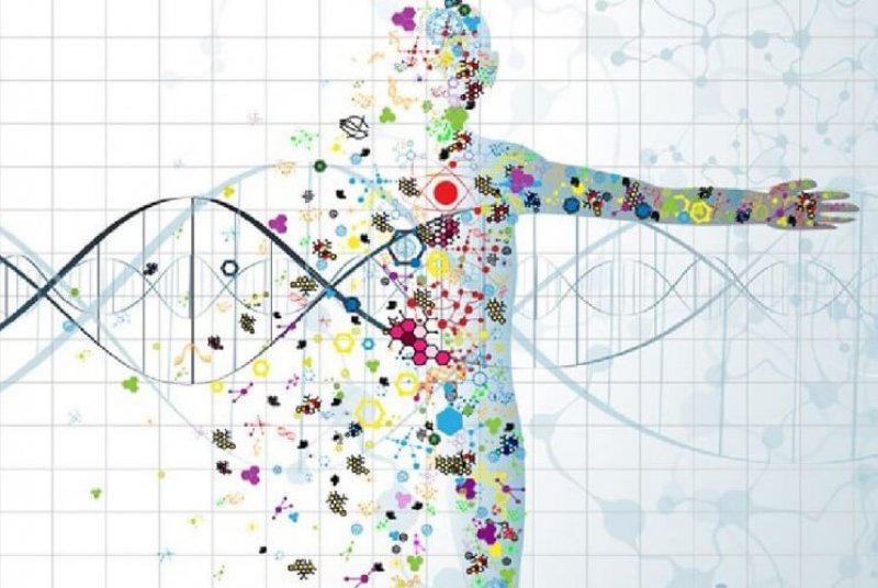 הרקע הגנטי לממאירויות גניקולוגיות – דברים שחשוב לדעת